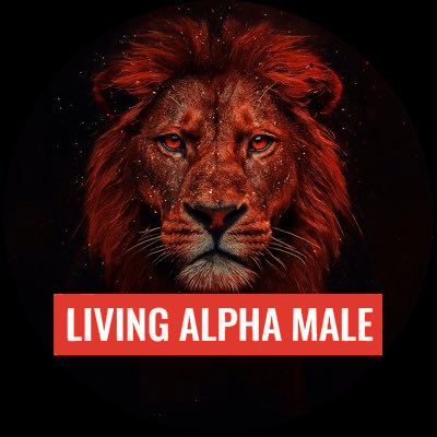 Living Alpha Male lion